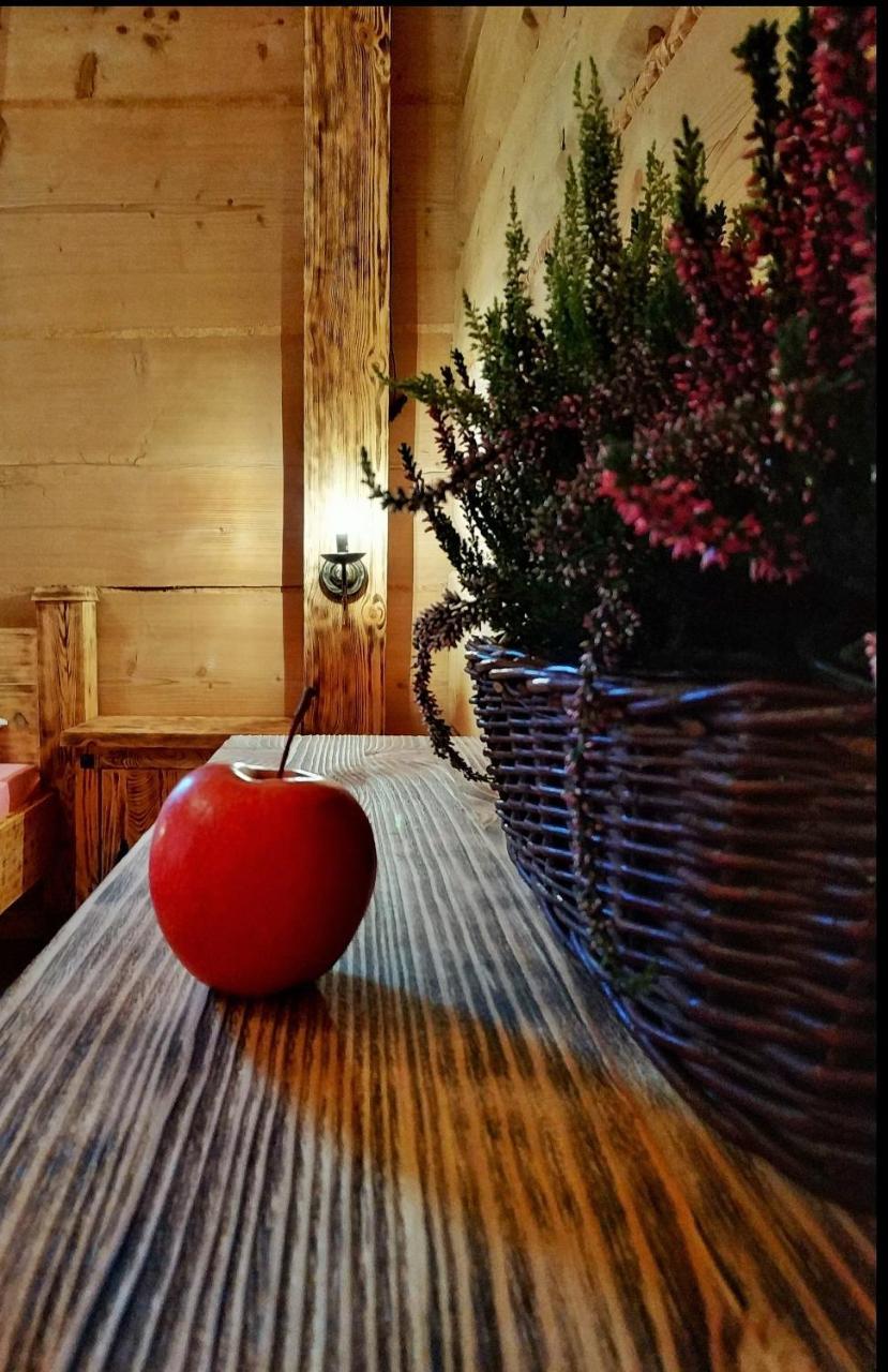 Bukowianska Ostoja - Sauna, Jacuzzi I Balia W Ofercie Tatranská Bukovina Exteriér fotografie